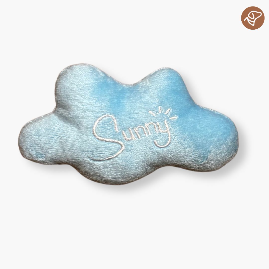 Sunny Squeaky Cloud Toy