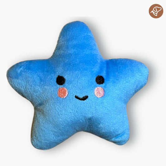 Blue Star Squeaky Toy